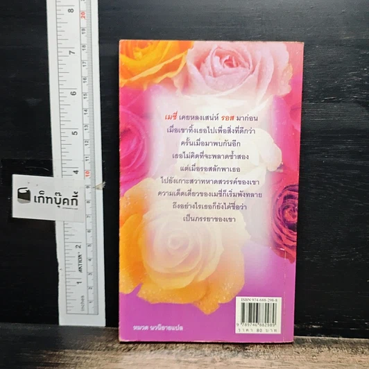หนังสือ นิยายโรมานซ์ สามีเถื่อน รูปที่ 2