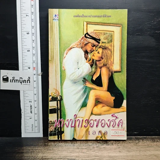 หนังสือ นิยายโรมานซ์ นางบำเรอของชีด รูปที่ 1