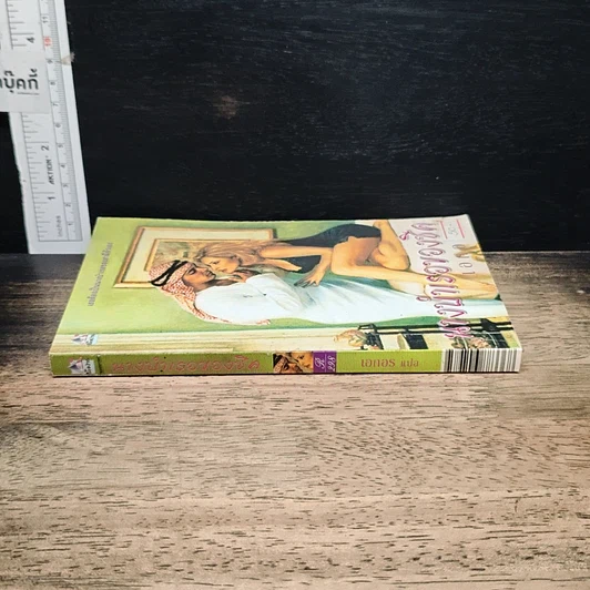 หนังสือ นิยายโรมานซ์ นางบำเรอของชีด รูปที่ 3