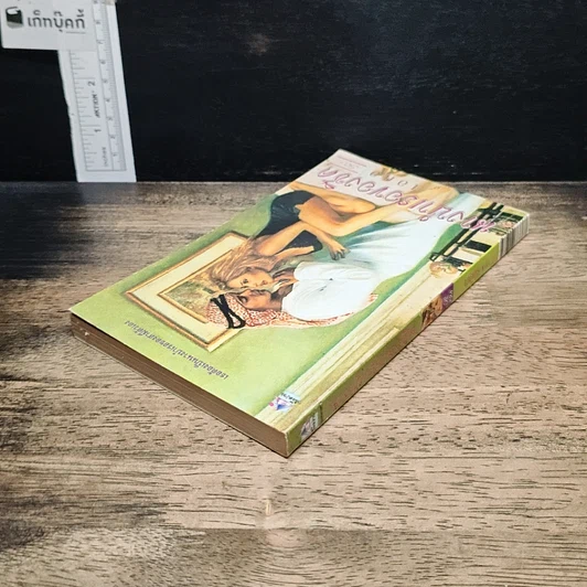 หนังสือ นิยายโรมานซ์ นางบำเรอของชีด รูปที่ 5