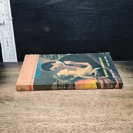 หนังสือ นิยายโรมานซ์ ไฟปรารถนา รูปที่ 3