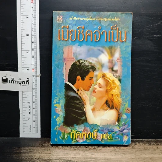 หนังสือ นิยายโรมานซ์ เมียอีกว่าเป็น รูปที่ 1