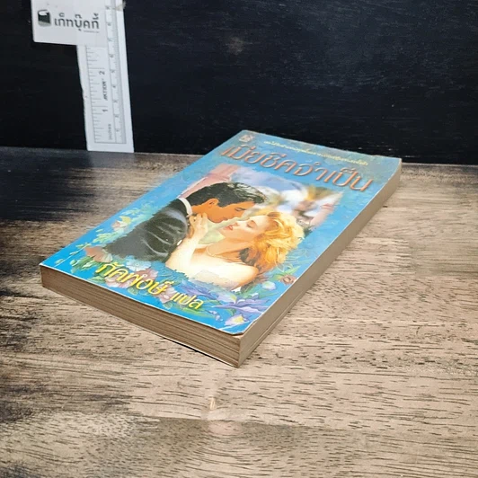 หนังสือ นิยายโรมานซ์ เมียอีกว่าเป็น รูปที่ 4