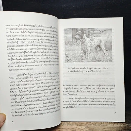 หนังสือ สุนัขพันธุ์ไทย รูปที่ 8