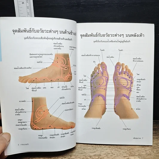 หนังสือ การนวดเท้าเพื่อสุขภาพและรักษาโรค รูปที่ 8