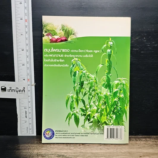 หนังสือ 12 วิธีพิชิตมะเร็ง รูปที่ 2