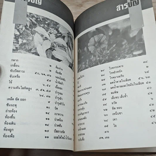 หนังสือ ยาจากพฤกษ์ พืชสมุนไพรที่น่ารู้จัก รูปที่ 6