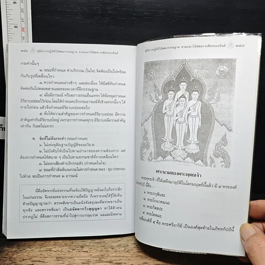 หนังสือ คู่มือการปฏิบัติวิปัสสนากรรมฐาน ตามแนววิปัสสนาวงศ์พระอรหันต์ รูปที่ 10