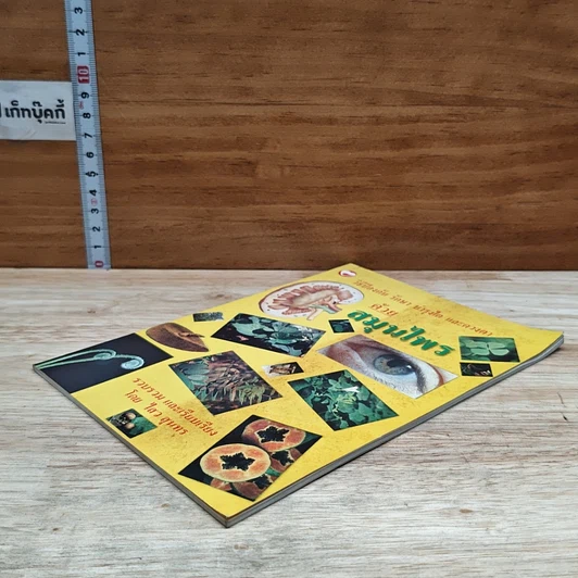 หนังสือ วิธีป้องกัน รักษา บำรุงไต และดวงตา ด้วยสมุนไพร รูปที่ 4