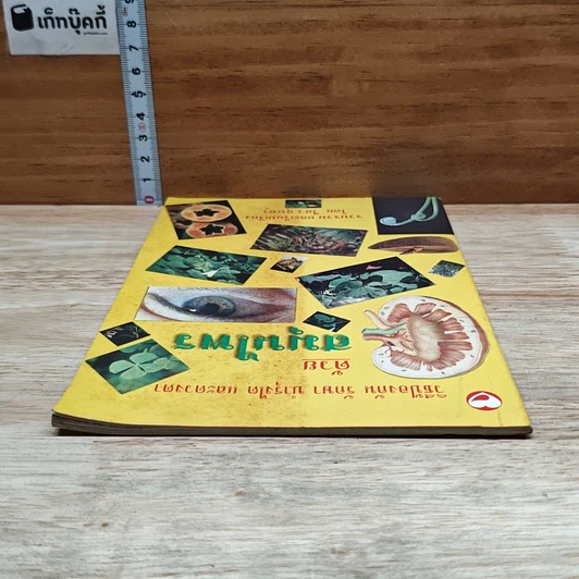 หนังสือ วิธีป้องกัน รักษา บำรุงไต และดวงตา ด้วยสมุนไพร รูปที่ 5