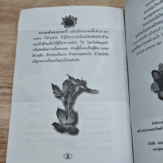 หนังสือ วิธีป้องกัน รักษา บำรุงไต และดวงตา ด้วยสมุนไพร รูปที่ 8