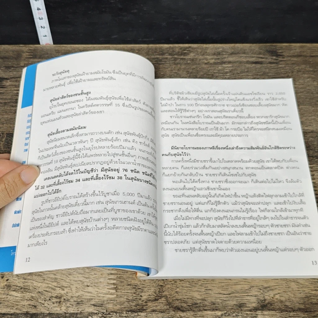 หนังสือ ตำนานสุนัขฮีโร่ Dog in Memory รูปที่ 7