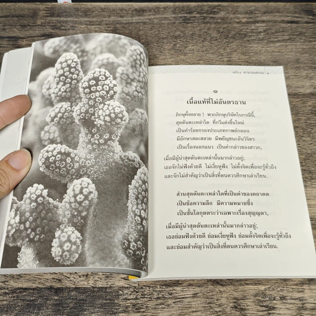 หนังสือ พุทธวจน ตามรอยธรรม รูปที่ 7
