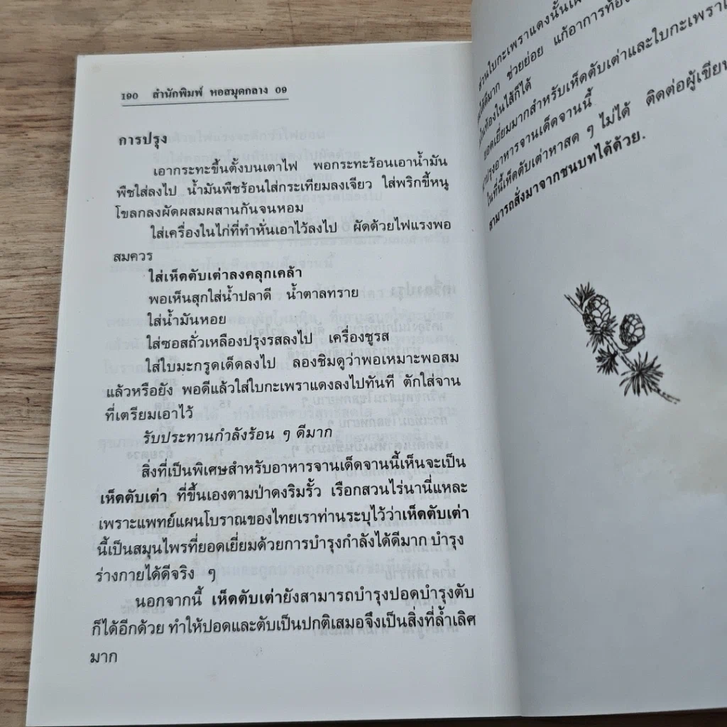 หนังสือ ยาดองเหล้า รูปที่ 8