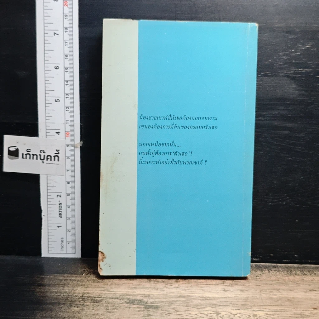 หนังสือ นิยายโรมานซ์ คำถามแห่งหัวใจ รูปที่ 2