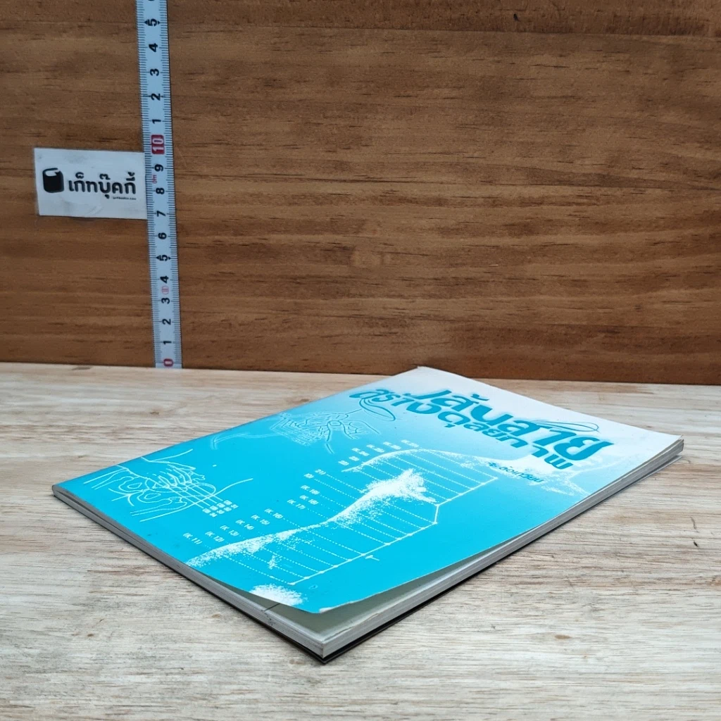 หนังสือ เส้นสายสร้างดุลยภาพ รูปที่ 4