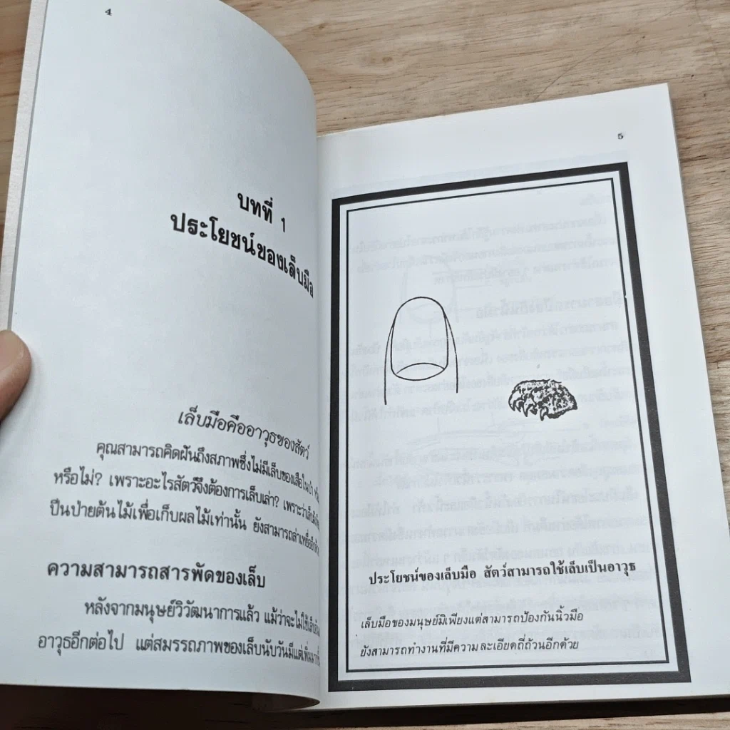 หนังสือ เล็บมือสื่อความหมาย รูปที่ 7
