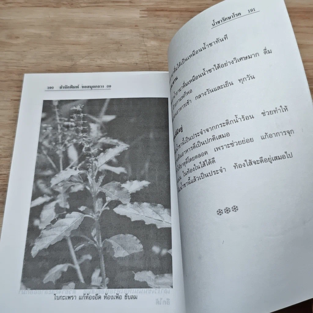 หนังสือ รักษาโรคด้วยน้ำชา รูปที่ 11