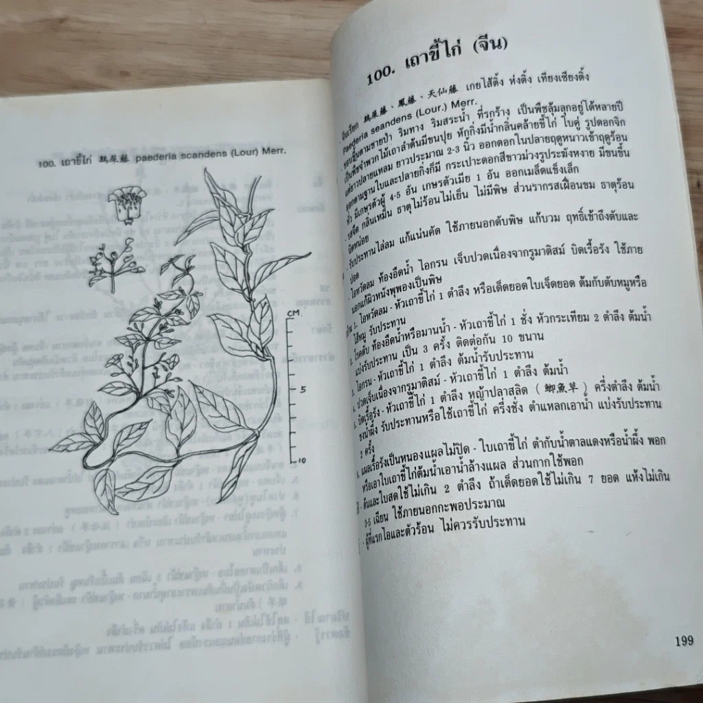 หนังสือ ยาสมุนไพรจีน 100 ชนิด คุณสมบัติและการรักษา รูปที่ 10