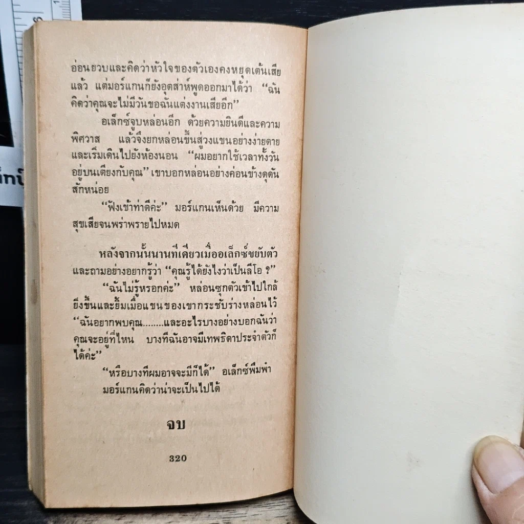 หนังสือ นิยายโรมานซ์ โจรจําแลง รูปที่ 8