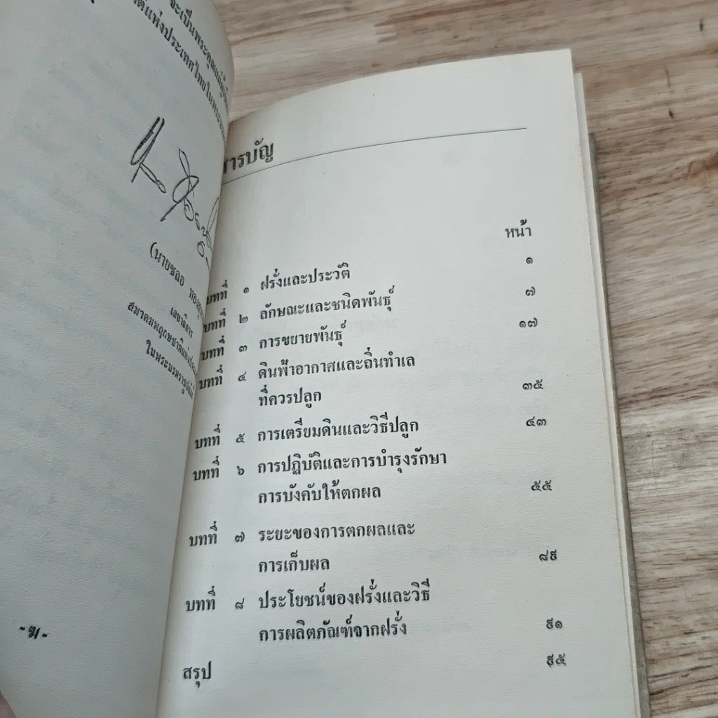 หนังสือ การทำไร่ฝรั่ง รูปที่ 6
