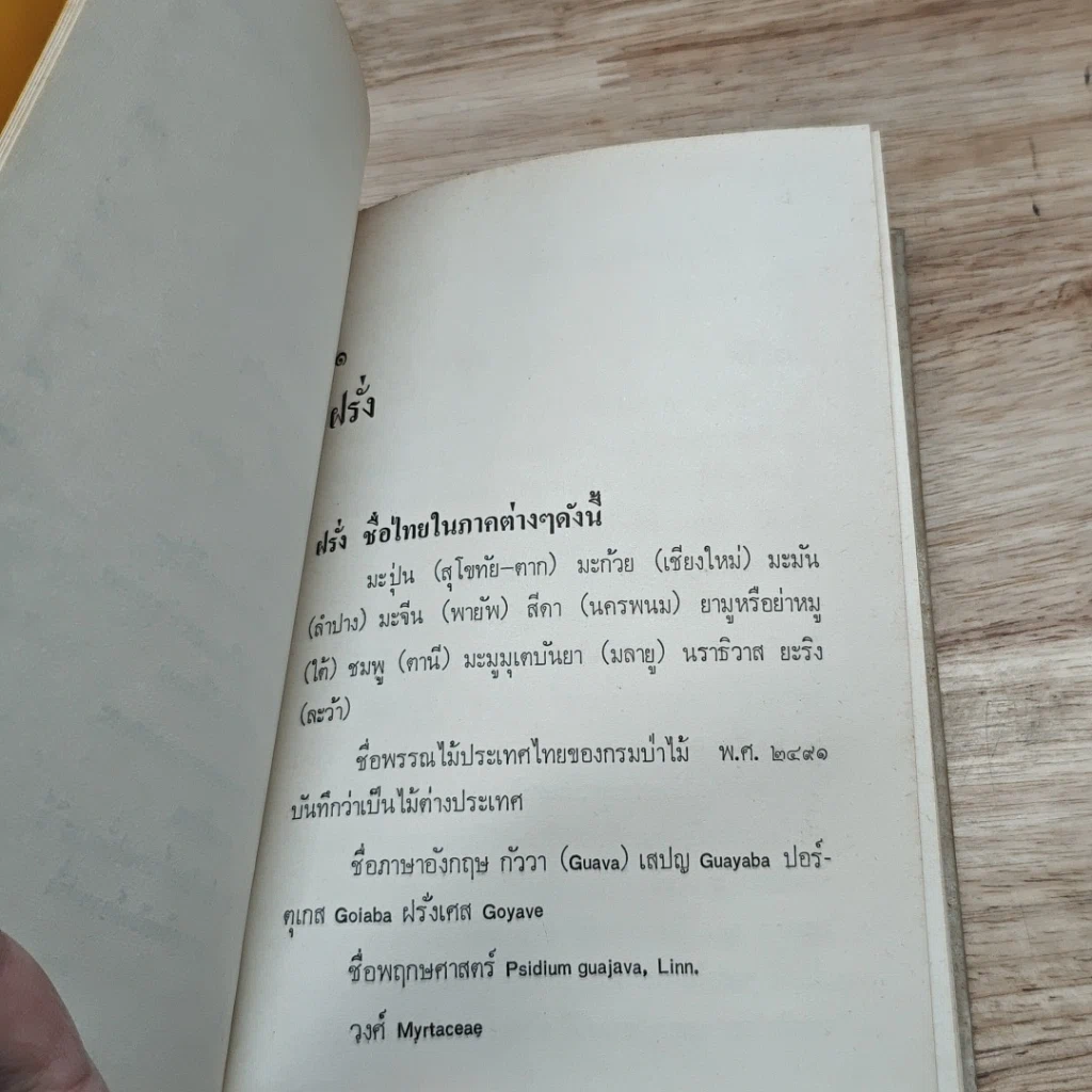 หนังสือ การทำไร่ฝรั่ง รูปที่ 7