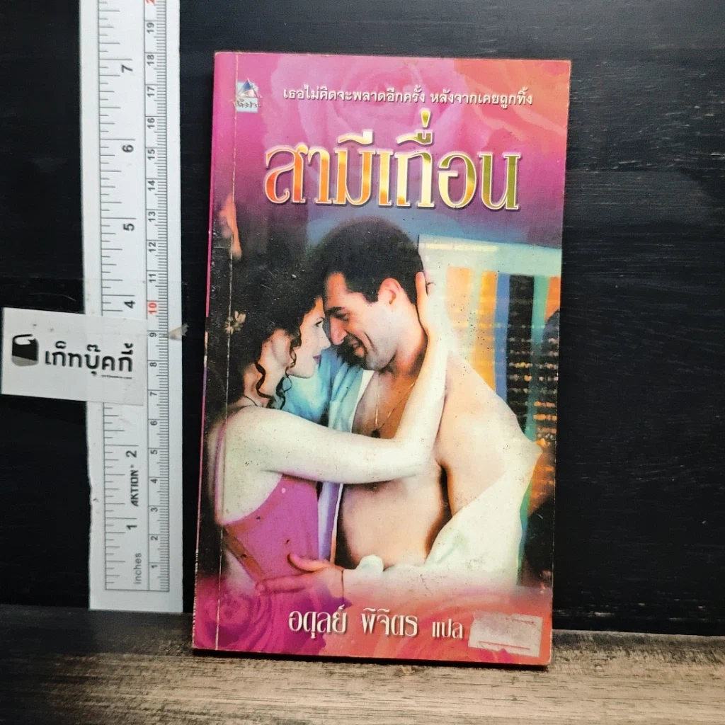 หนังสือ นิยายโรมานซ์ สามีเถื่อน รูปที่ 1