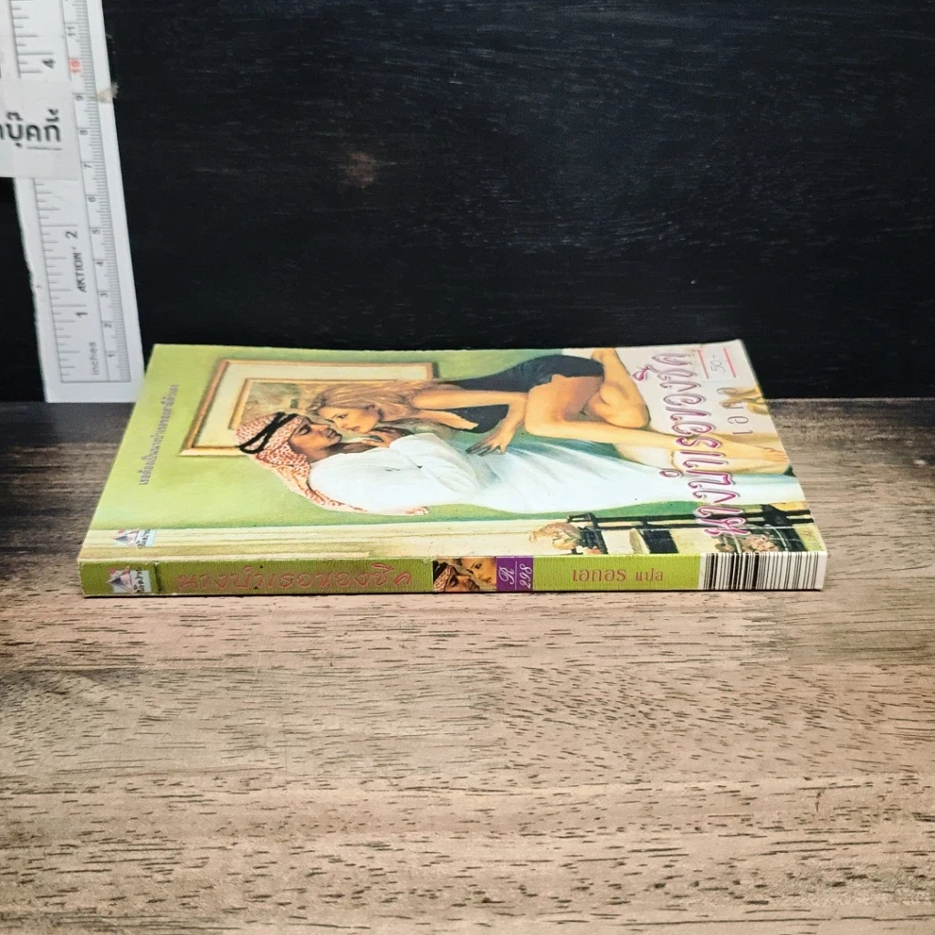หนังสือ นิยายโรมานซ์ นางบำเรอของชีด รูปที่ 3