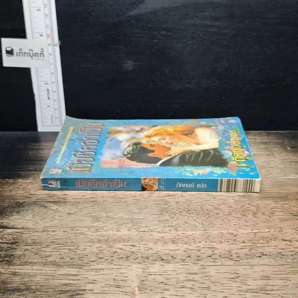 หนังสือ นิยายโรมานซ์ เมียอีกว่าเป็น รูปที่ 3