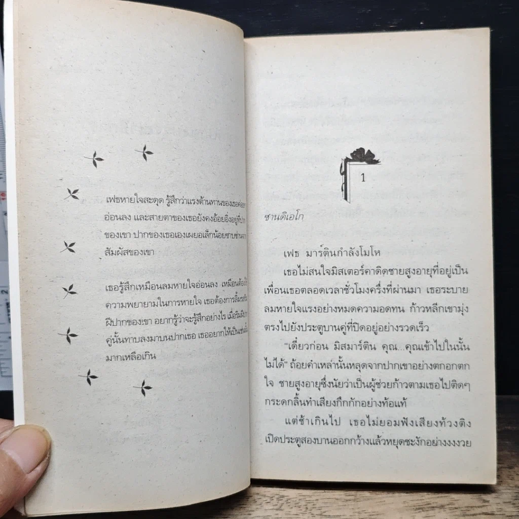 หนังสือ นิยายโรมานซ์ เมียอีกว่าเป็น รูปที่ 7
