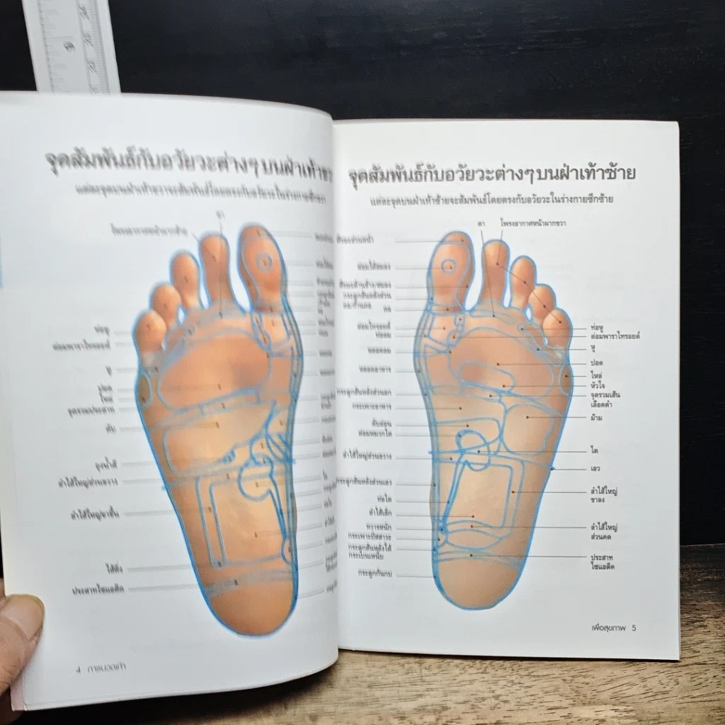 หนังสือ การนวดเท้าเพื่อสุขภาพและรักษาโรค รูปที่ 7