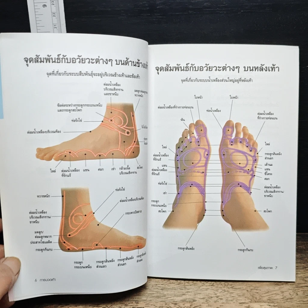 หนังสือ การนวดเท้าเพื่อสุขภาพและรักษาโรค รูปที่ 8