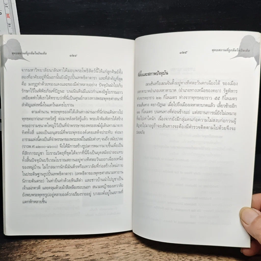 หนังสือ พุทธสถานที่ถูกลืมในอินเดีย รูปที่ 10