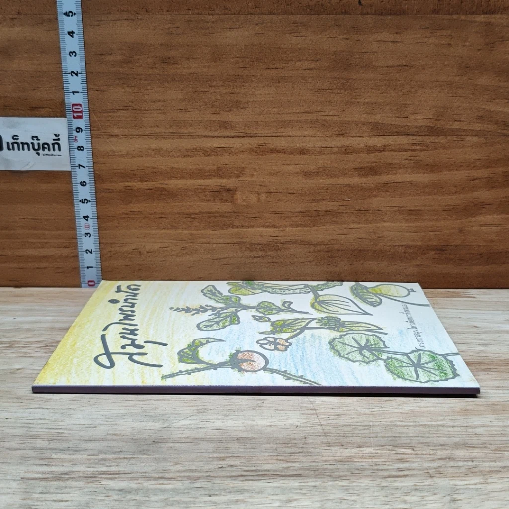 หนังสือ สมุนไพรบำบัด รูปที่ 3