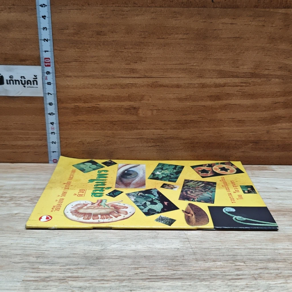 หนังสือ วิธีป้องกัน รักษา บำรุงไต และดวงตา ด้วยสมุนไพร รูปที่ 3