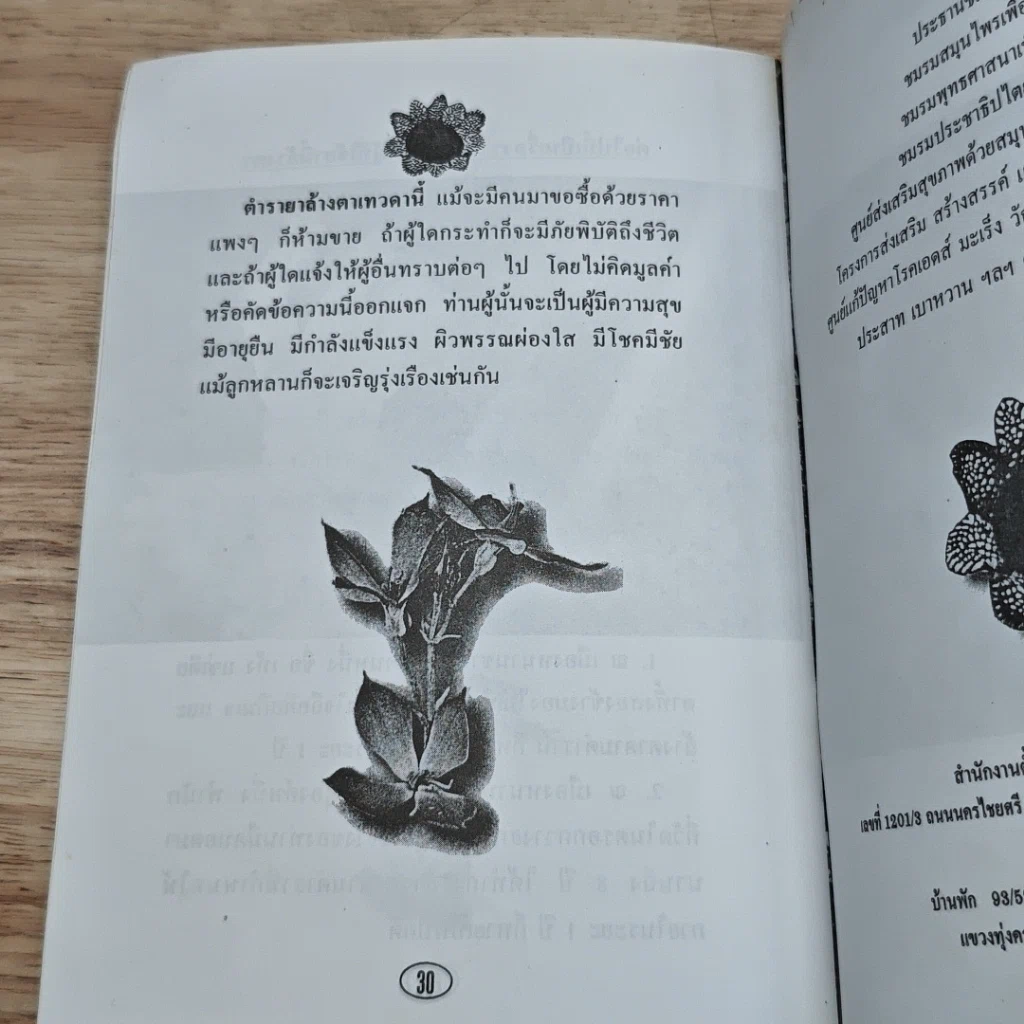 หนังสือ วิธีป้องกัน รักษา บำรุงไต และดวงตา ด้วยสมุนไพร รูปที่ 8