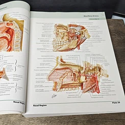หนังสือ Atlas of Human Anatomy 5th Edition รูปที่ 11