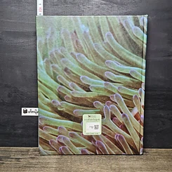 หนังสือ สำรวจชีวิต สัตว์โลกผู้น่าทึ่ง รูปที่ 5