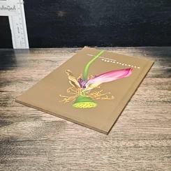 หนังสือ ความจริงแห่งชีวิต รูปที่ 5