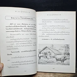 หนังสือ 2440 ผู้ร้ายเมืองสยาม เล่าเรื่องปราบปรามโจรผู้ร้ายสมัย รัชกาลที่ 5 รูปที่ 8