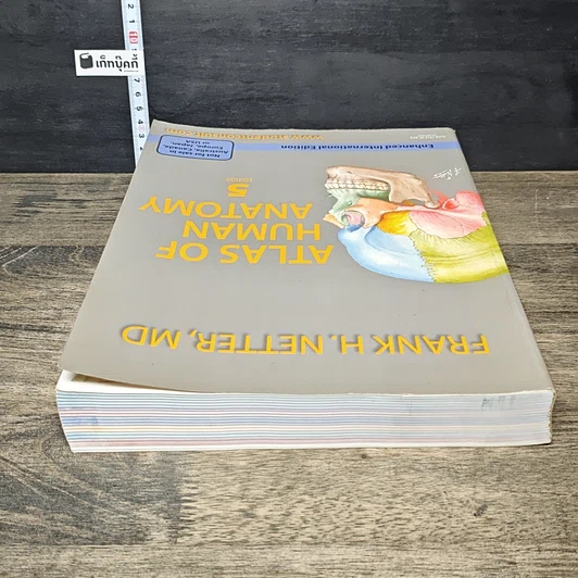 หนังสือ Atlas of Human Anatomy 5th Edition รูปที่ 4
