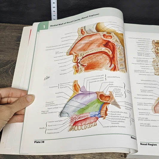หนังสือ Atlas of Human Anatomy 5th Edition รูปที่ 10