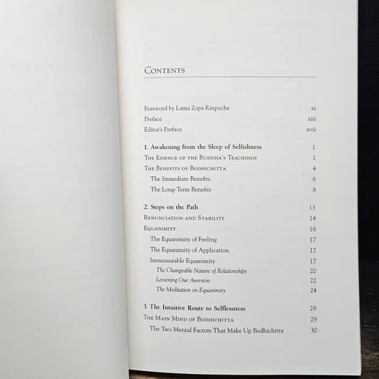 หนังสือ The Awakening Mind: The Foundation of Buddhist Thought, Volume 4 รูปที่ 7
