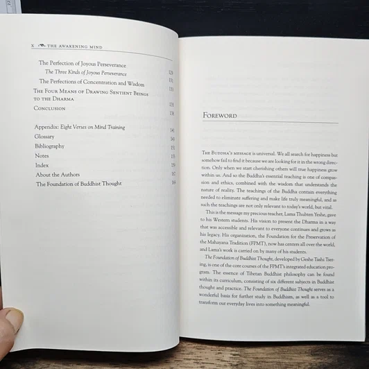 หนังสือ The Awakening Mind: The Foundation of Buddhist Thought, Volume 4 รูปที่ 9