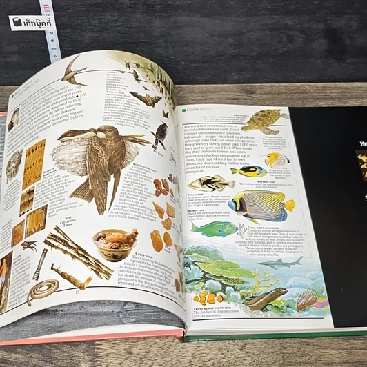 หนังสือ Thailand: A Traveller’s Companion รูปที่ 7