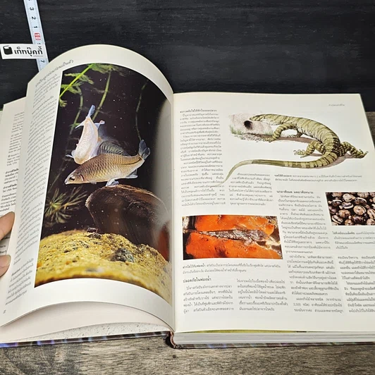 หนังสือ สำรวจชีวิต สัตว์โลกผู้น่าทึ่ง รูปที่ 7