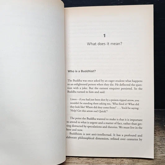 หนังสือ What Do Buddhists Believe? รูปที่ 10