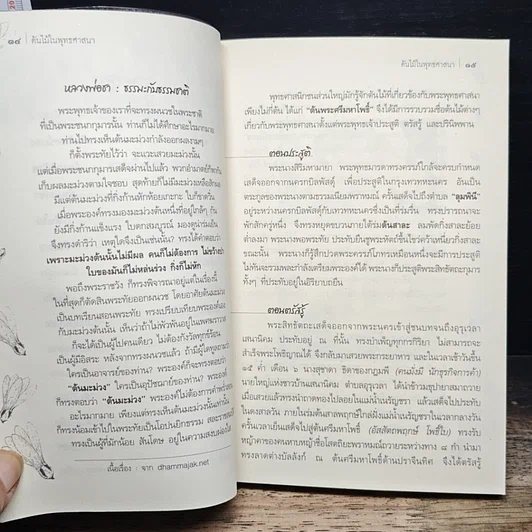 หนังสือ ต้นไม้ในพุทธศาสนา รูปที่ 10