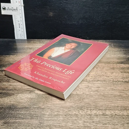 หนังสือ This Precious Life รูปที่ 4
