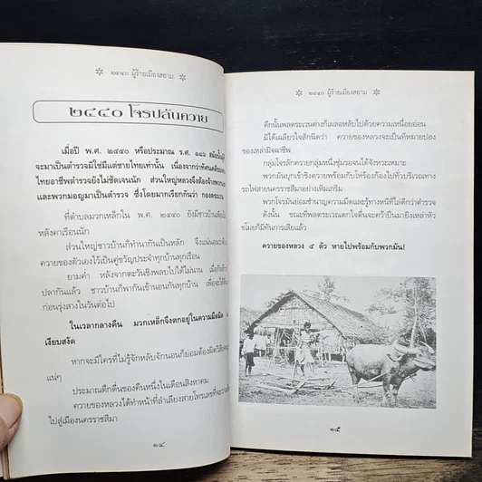 หนังสือ 2440 ผู้ร้ายเมืองสยาม เล่าเรื่องปราบปรามโจรผู้ร้ายสมัย รัชกาลที่ 5 รูปที่ 8